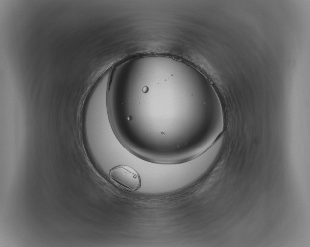 X0000113180673200909111055