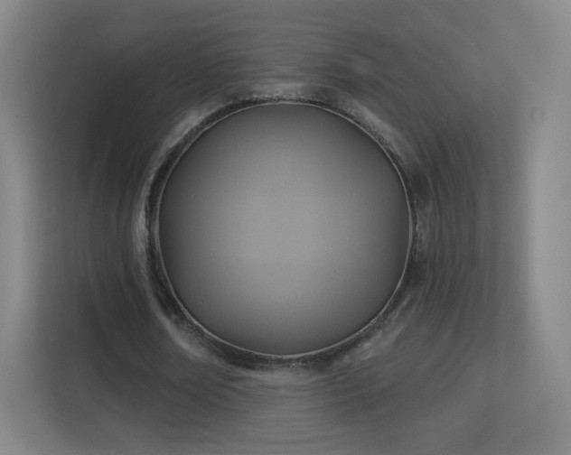 X0000113180674200909111055