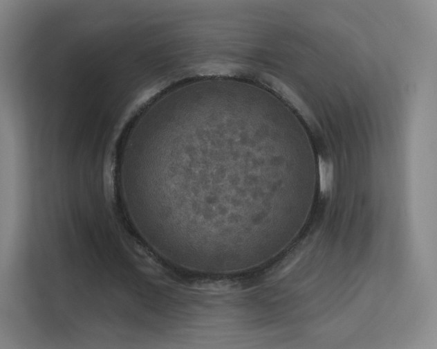 X0000113180675200909111055