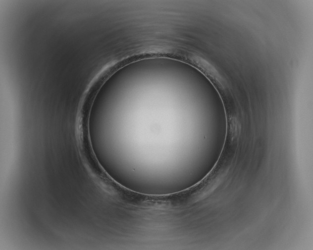 X0000113180676200909111055