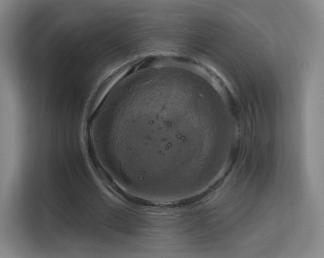 X0000113180677200909111055