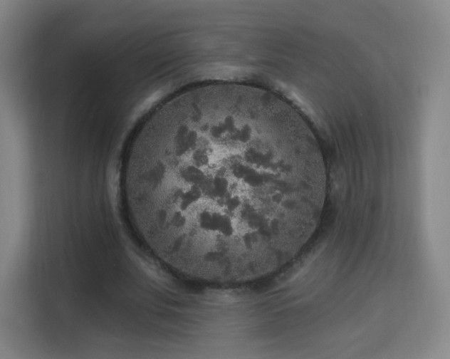 X0000113180679200909111055