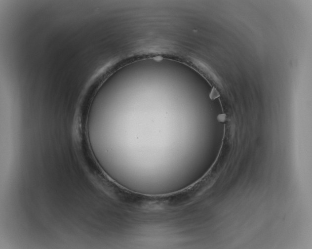X0000113180680200909111055