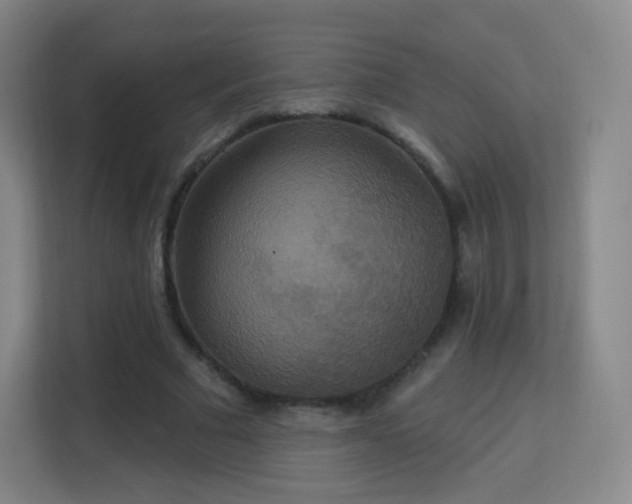 X0000113180681200909111055