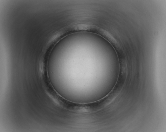 X0000113180683200909111055