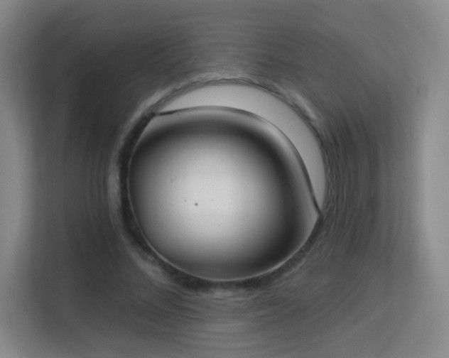 X0000113180684200909111055