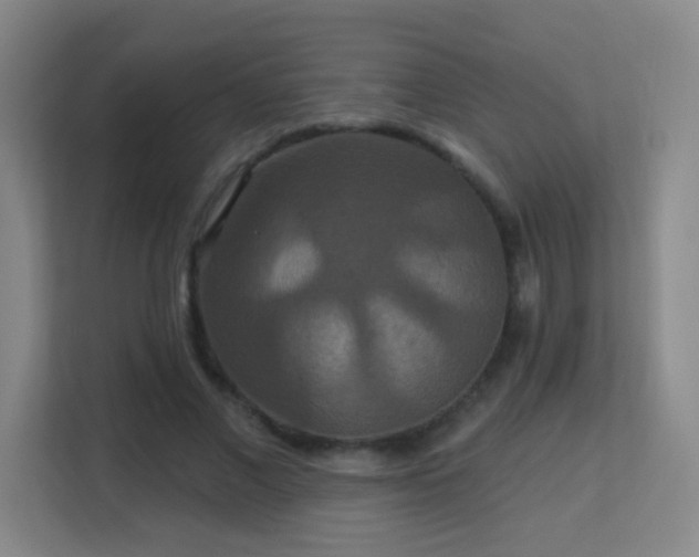 X0000113180685200909111055
