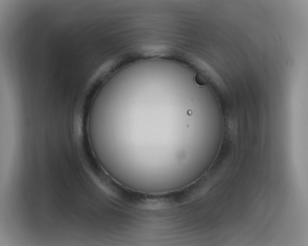 X0000113180686200909111055