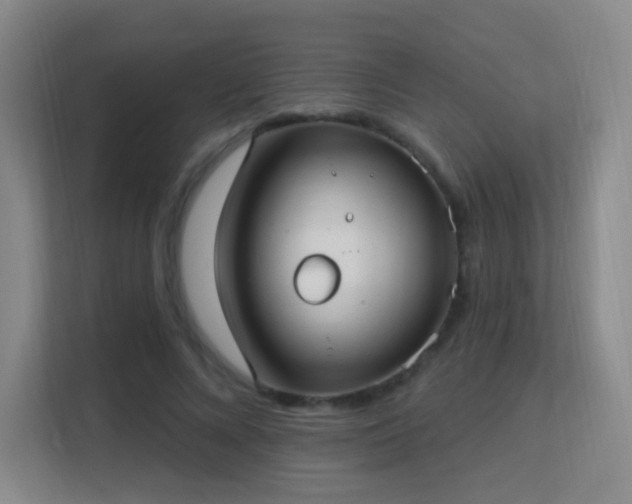 X0000113180688200909111055