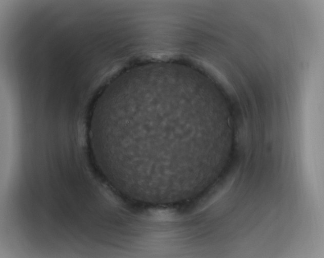 X0000113180689200909111055