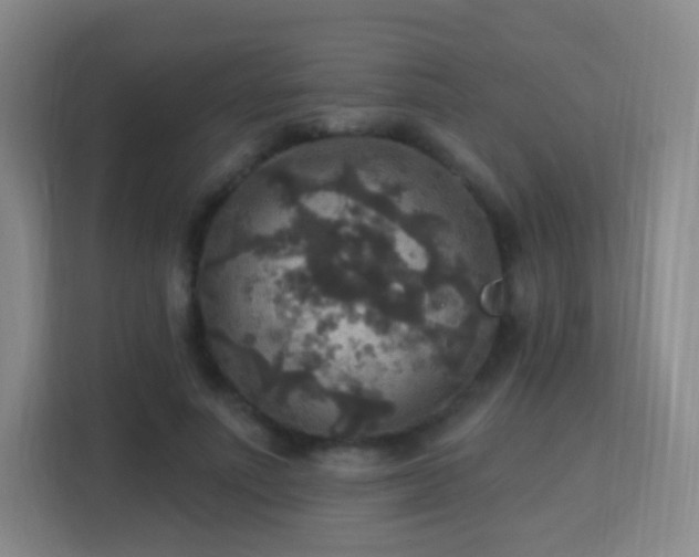 X0000113180691200909111055