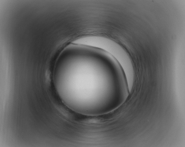 X0000113180692200909111055