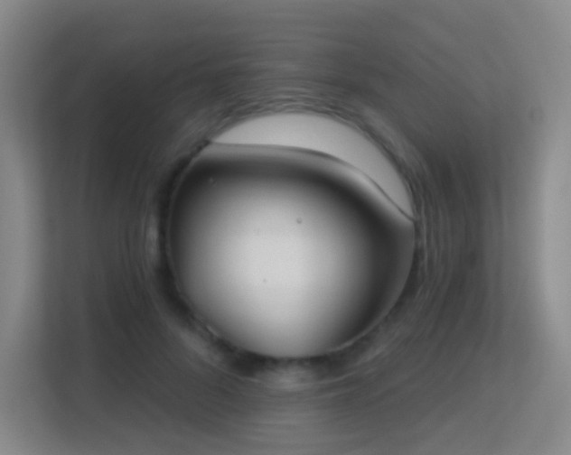 X0000113180696200909111055