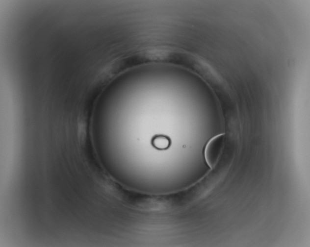 X0000113180697200909111055