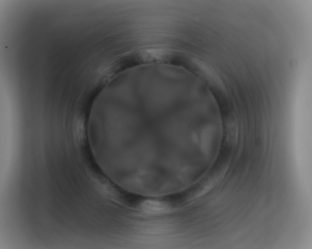 X0000113180699200909111055