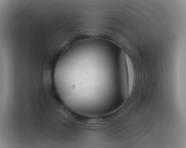 X0000113180700200909111055