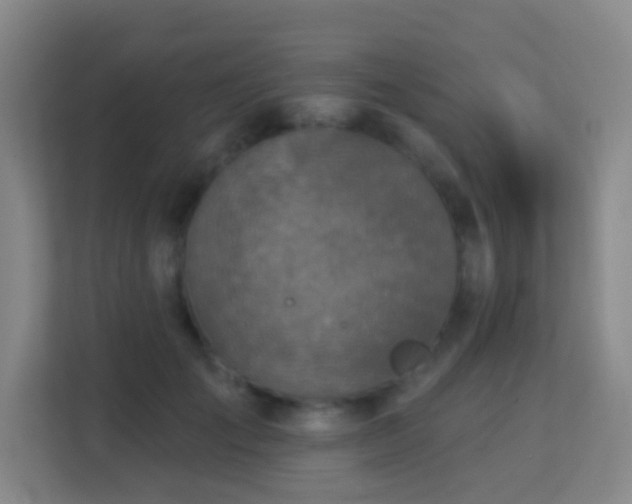 X0000113180701200909111054
