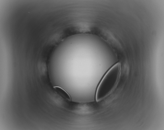 X0000113180704200909111054