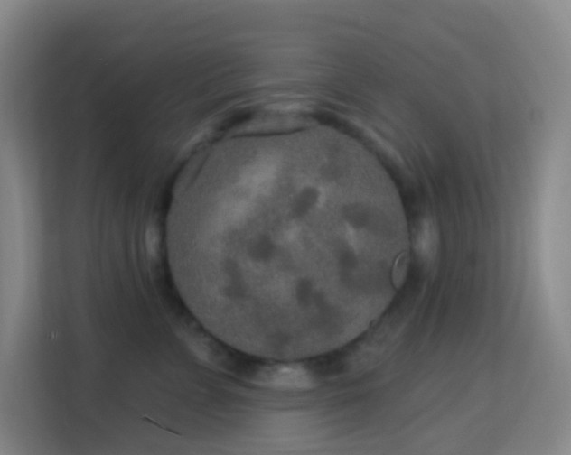 X0000113180715200909111054