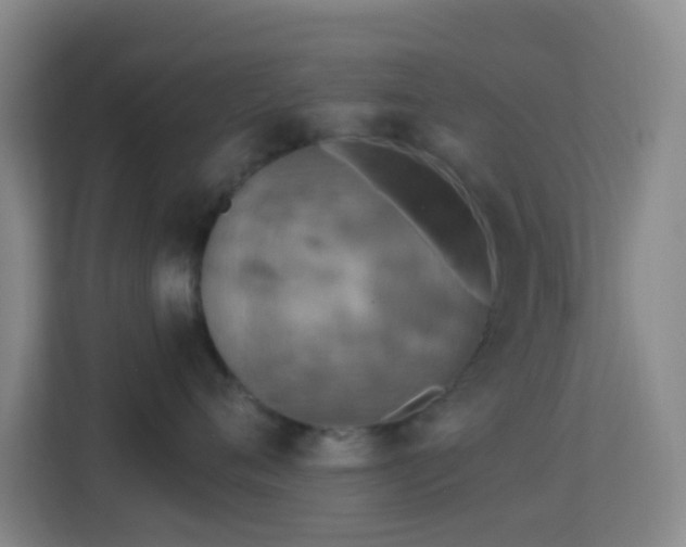 X0000113180720200909111054