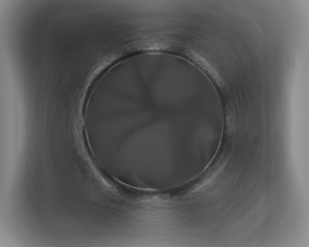 X0000113180721200909111054