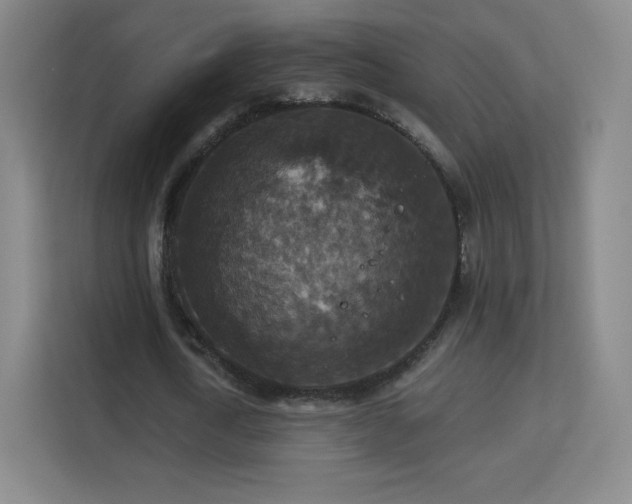 X0000113180722200909111054