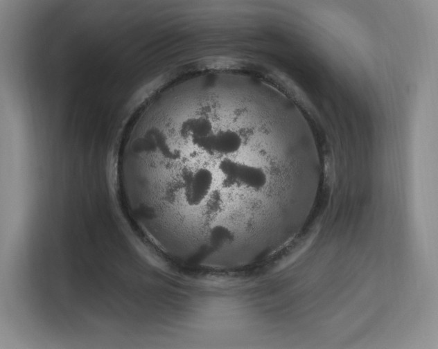 X0000113180725200909111054