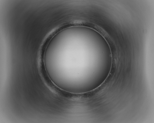 X0000113180728200909111054