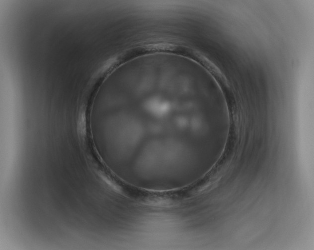 X0000113180729200909111054