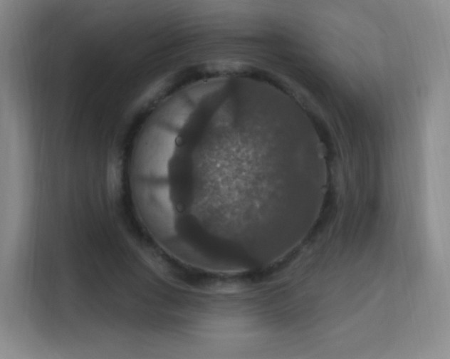 X0000113180735200909111054