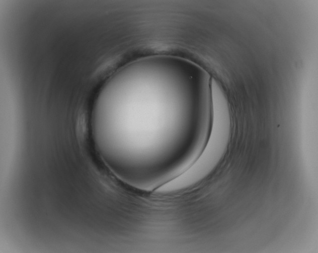X0000113180740200909111054