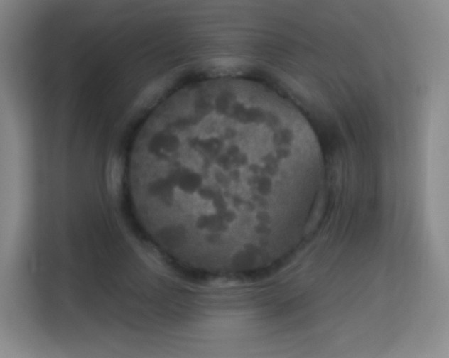 X0000113180742200909111054