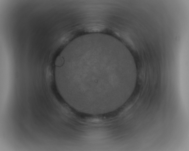 X0000113180743200909111054