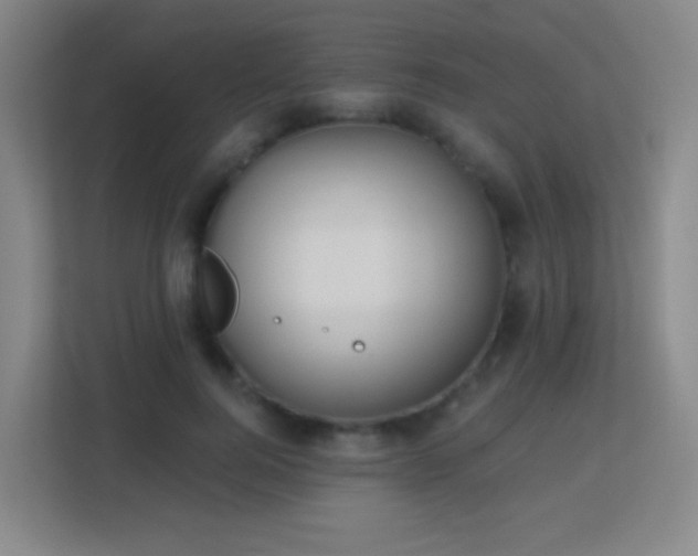 X0000113180744200909111054