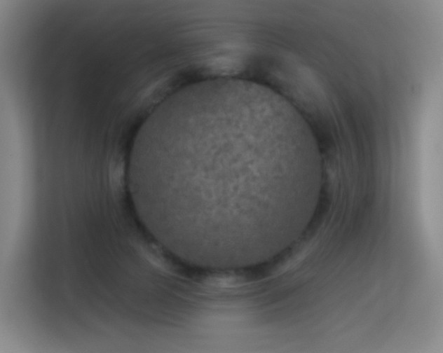 X0000113180745200909111054