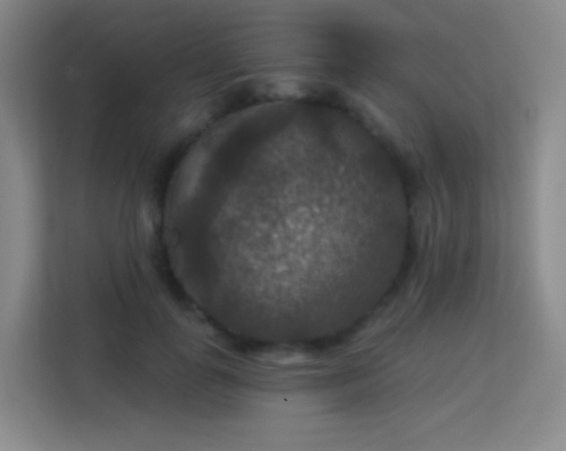 X0000113180747200909111054