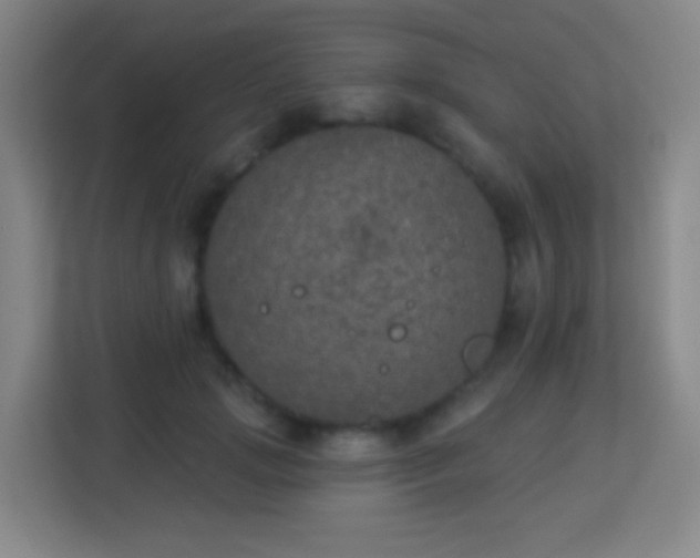 X0000113180749200909111054