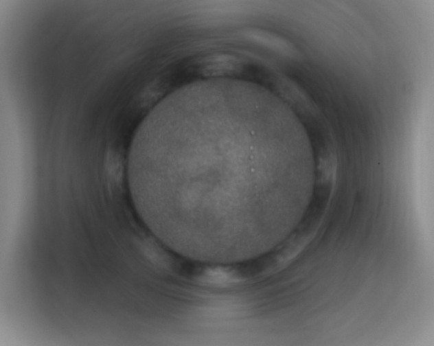 X0000113180753200909111054