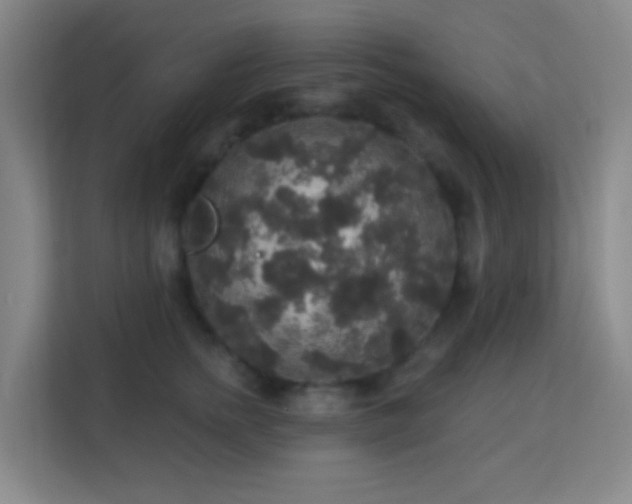 X0000113180758200909111054