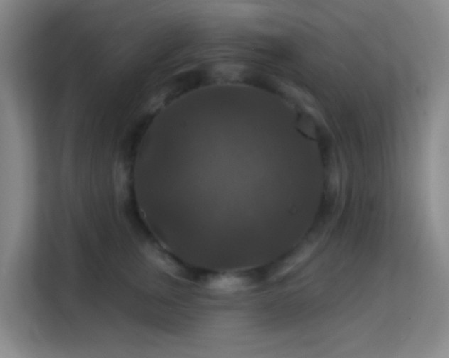 X0000113180759200909111054