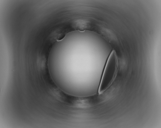 X0000113180760200909111054