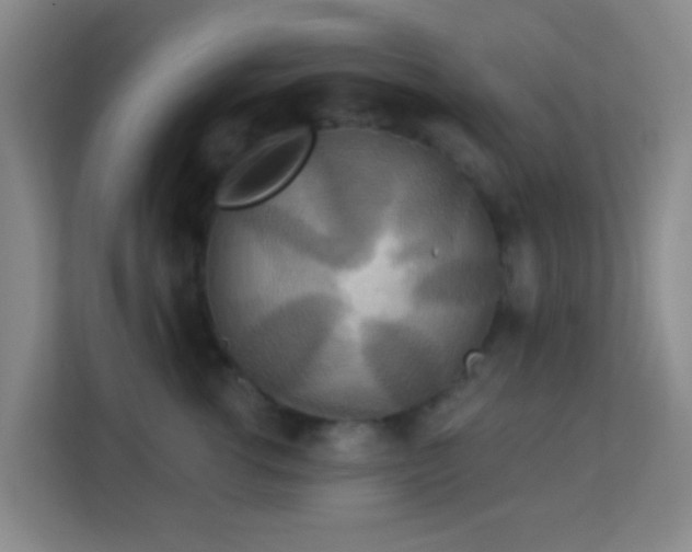 X0000113180762200909111054