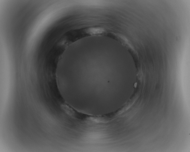 X0000113180763200909111054
