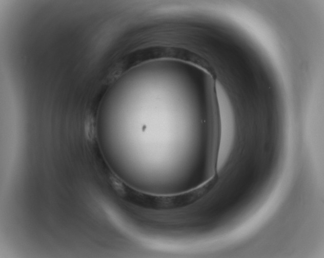 X0000113180766200909111054
