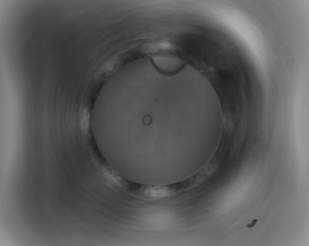 X0000113180767200909111054