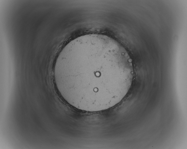 X0000113180769200909111054