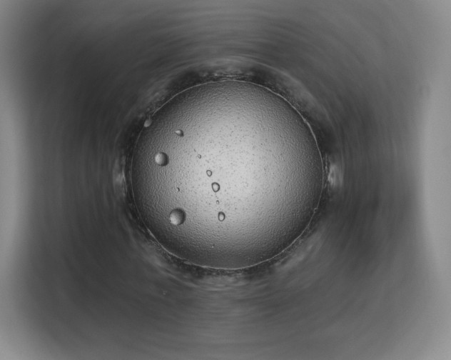 X0000113180771200909111054