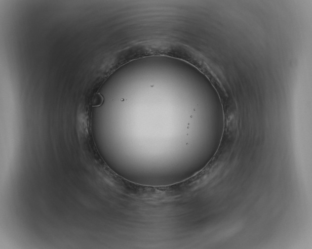 X0000113180772200909111054