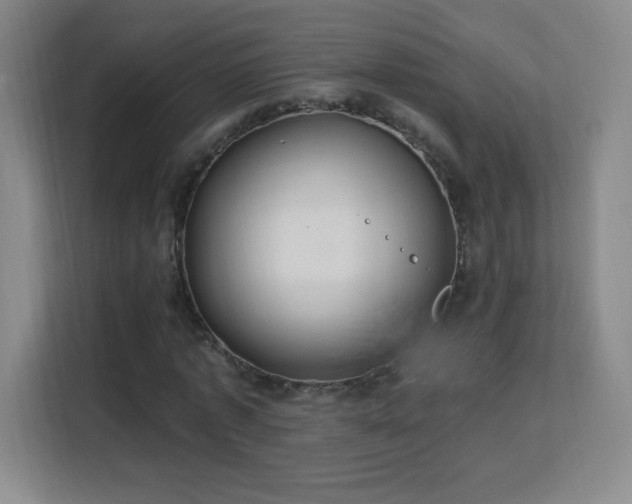 X0000113180773200909111054