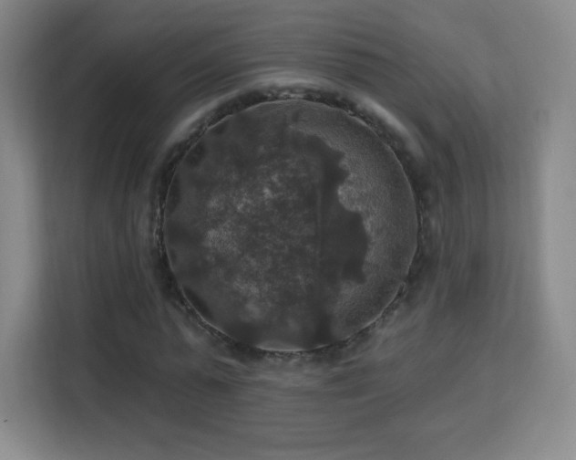 X0000113180775200909111054
